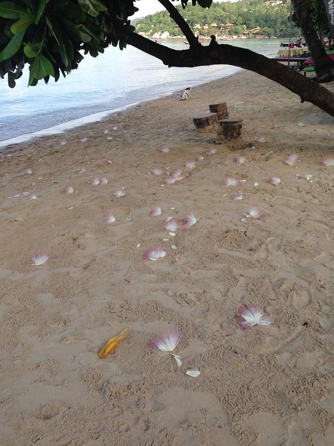 Grand Beach Resort Ko Tao Ngoại thất bức ảnh